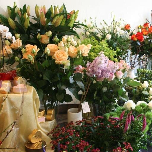 Windmill Flowers Profile