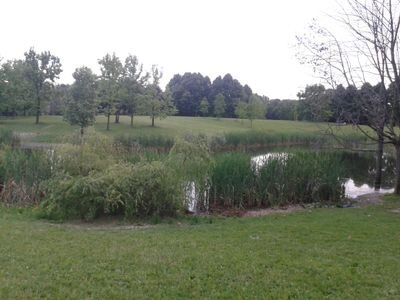 BilbieD's profile picture. 