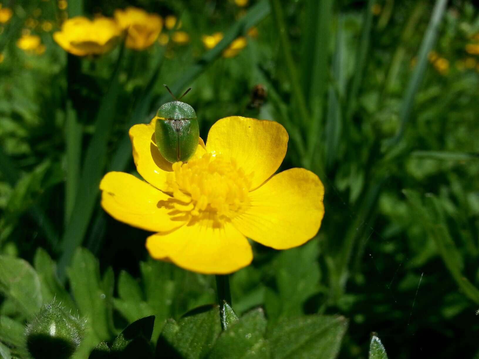 thearcologist's profile picture. Shakin' it up since '82