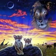 saaaaaa03616814's profile picture. 