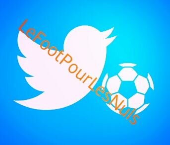 LeFoot&lesnuls ! Ici on parle de foot sous toutes ses formes !