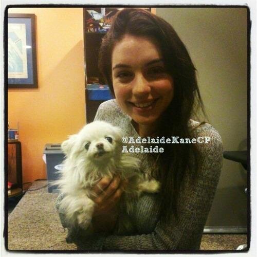 AdelaideKaneCP's profile picture. ¥ Two souls emerge and sparks fly. The heart siezes love instantly; knowing this was the remedy for her pain. ¥ {Celebrity RP/CP}