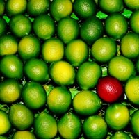 essence 🏹 (@breakingpattern) 's Twitter Profile