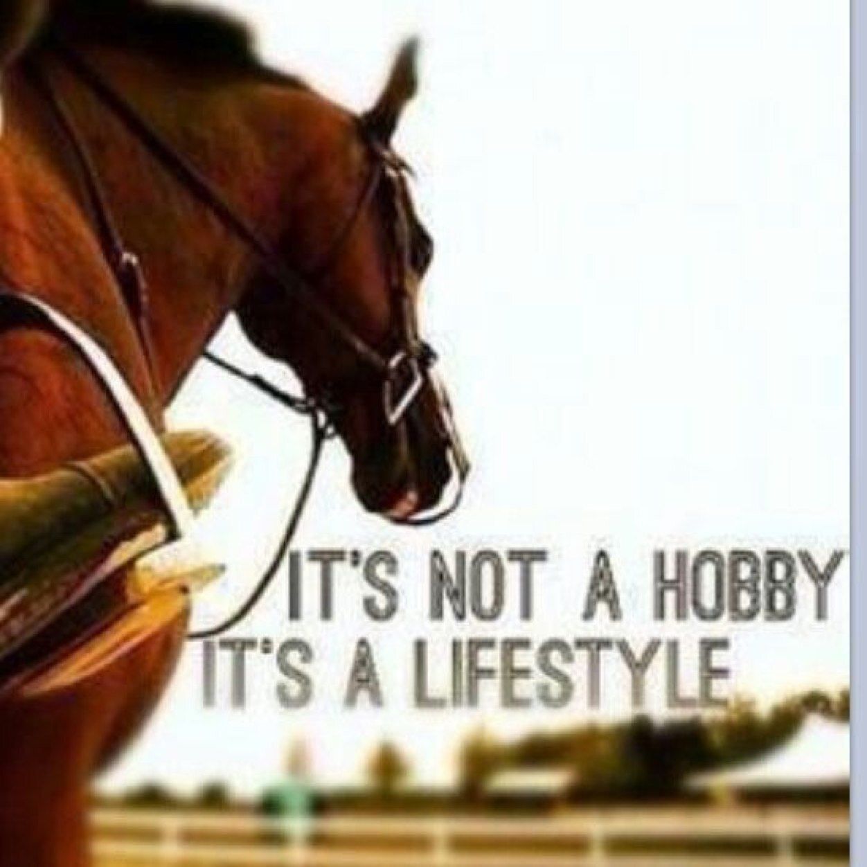 iMarijkex's profile picture. 