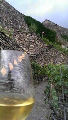 #Conseiller communal, gestionnaire en #tourisme, moniteur de ski, amateur de bons #vins et de bons #mets