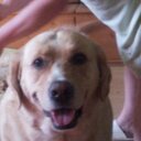 Laszlo Kelemen - @kelemen6264 - Twitter