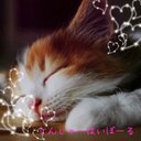 じん(*´艸｀*)じゃーはいぼーる - @ginger_high_b - Twitter