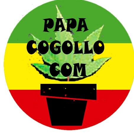 🌲Tienda de cultivo especializada en cannabis y consultor cannabico👨‍🌾