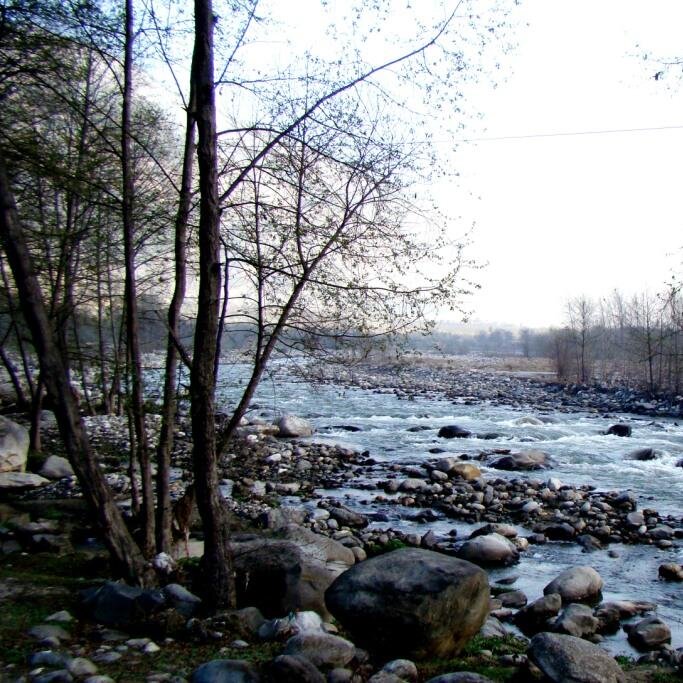 MissionManali's profile picture. Trying to hide behind the #Mountains.