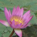 Wei Pan - @ac21098 - Twitter