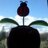 Oak_2418's profile image