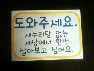 옴메니반메홈,,,알멩이만 남고 껍딱들은 가라 제발 !!!! 닭시로,친일파시로~독도는 내땅, 대마도도내땅,간도도 내땅!!!