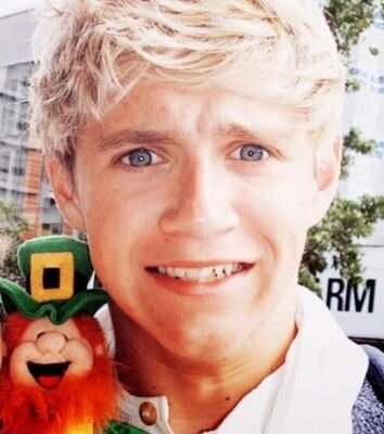 13~Directioner