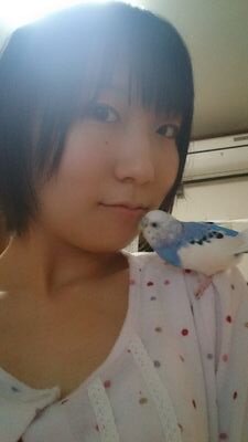 PiSuksuki's profile picture. セキセイインコ、陸ガメ、水ガメ2匹、メダカを飼ってま～す♪あと、小さい頃にパグちゃん飼ってました！とにかく動物が大好き(*^^*)よろしく♪ヽ(´▽｀)/