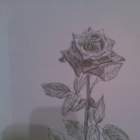 LalaArtsruni's profile picture. 