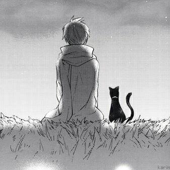 johnil_'s profile picture. 