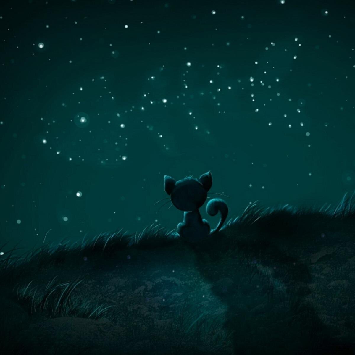 DreamDreamer_ Profile Picture