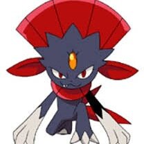 Just a friendly Weavile! I don't RP
