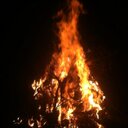 Lillian Springer - @todddelong1 - Twitter