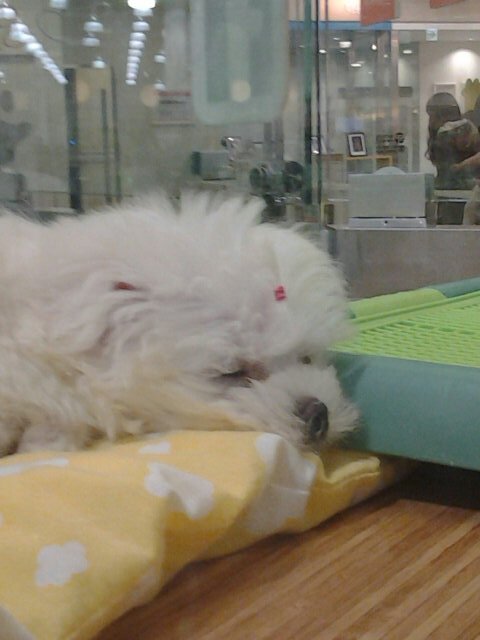 kyahahai's profile picture. 