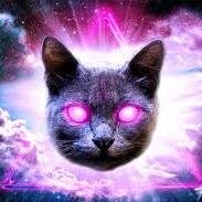 SayTrickshoter's profile picture. i follow back all                             say stupid shit                                 n trickshot