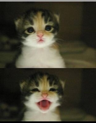 please1024's profile picture. 