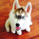 steve arbogast - @stevearbo - Twitter