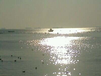 61918ff2ad93404's profile picture. 조용한백수