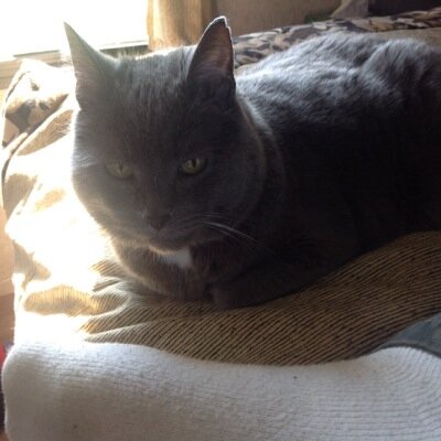 PaulaMa88302576's profile picture. 