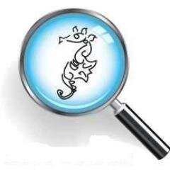 We are professional Private Investigators with integrity, to Essex, East Anglia, London & the Home Counties.