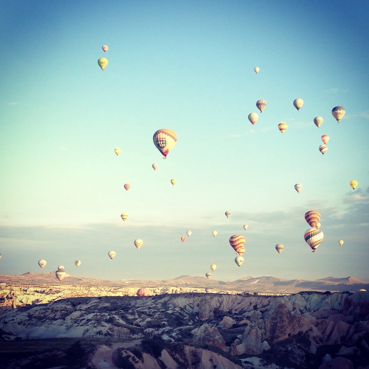 Aumberto's profile picture. Ing. Técnico en Informática de Gestión.