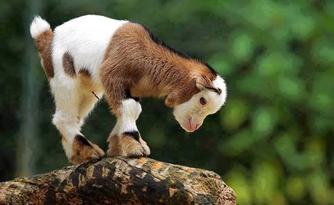 kmc9369's profile picture. 발길닿는대로 물결치는대로...