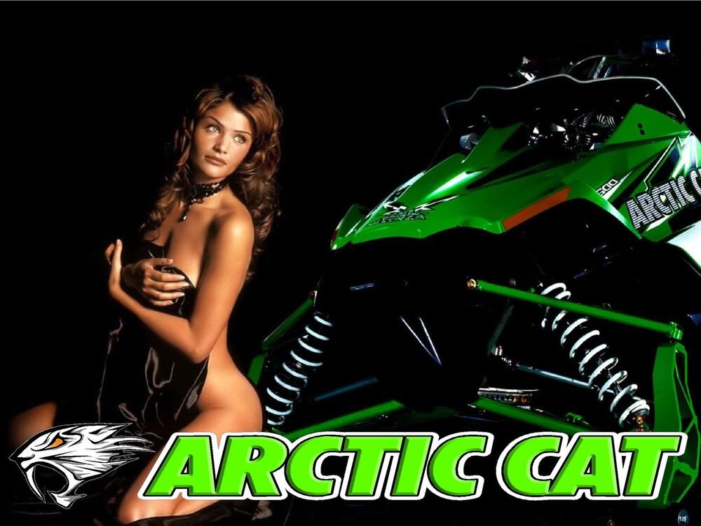 bcsnowrider's profile picture. Fresh snow. Sound of a Sled. That's my life