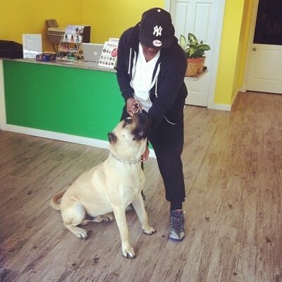 I am a you professional pet groomer in training for booking appointments be sure to call KPS (888)771-2183 and request for La'Rell✊