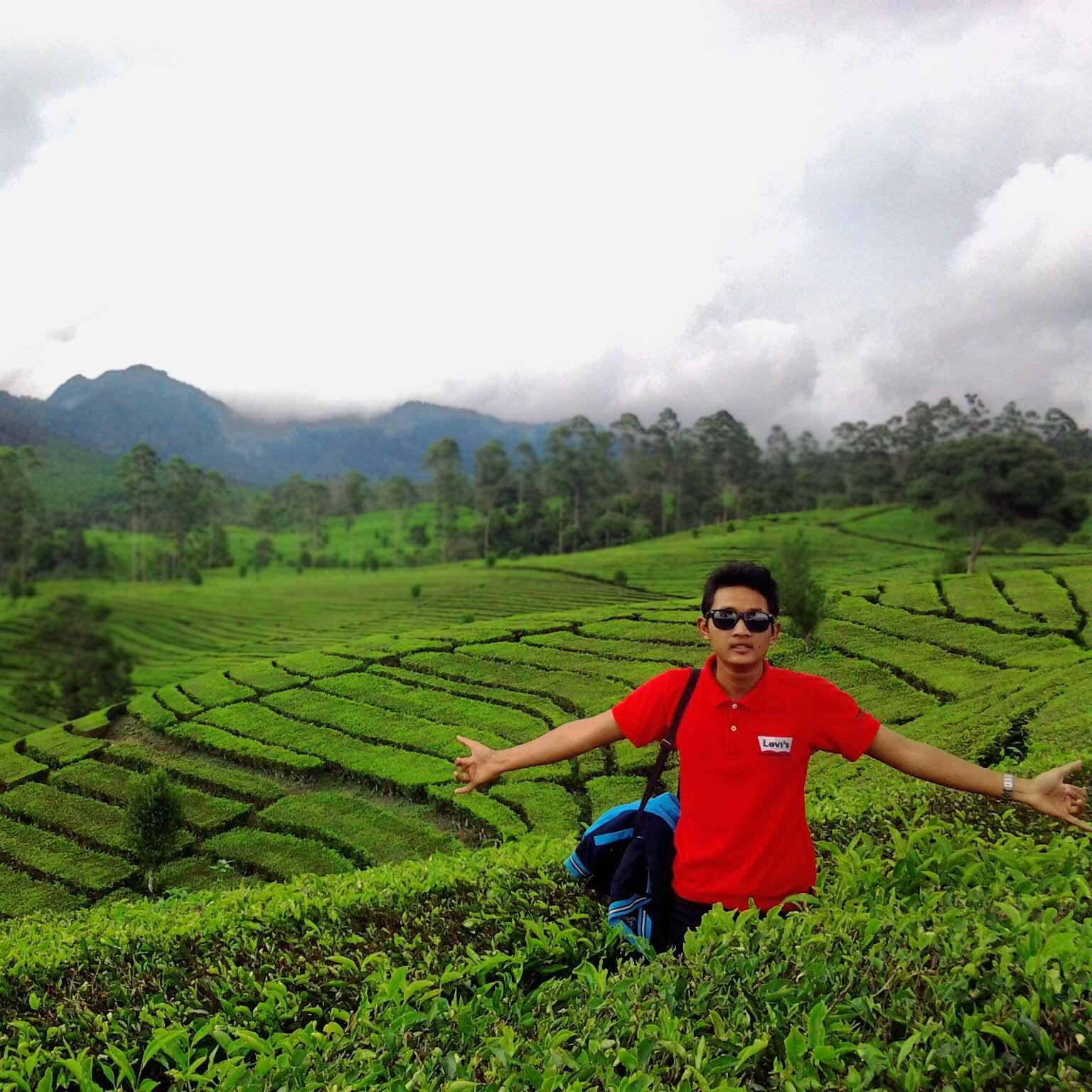 Dream, pray and action