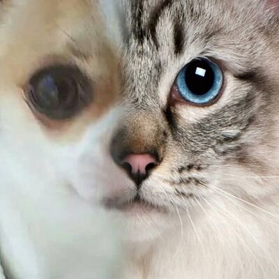 Amo tutto l'universo con il cielo è con il mare ....amo gli animali esseri unici e speciali .... vivo per l'oro e sono contro ogni forma di crudeltà e violenza