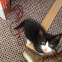 Keir Williams - @tjwcat - Twitter