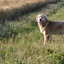 Julia A Palmer Smith - @juliapalmer281 - Twitter