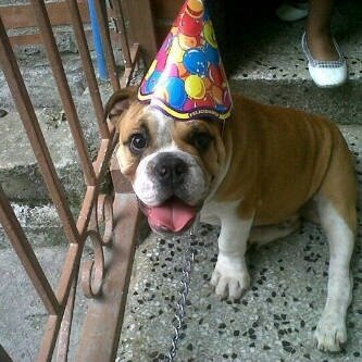 MONCHATRINI's profile picture. 