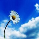 Debra Ball - @Nanacat4 - Twitter