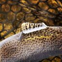 Jeff Betts - @JeffJeffbetts52 - Twitter