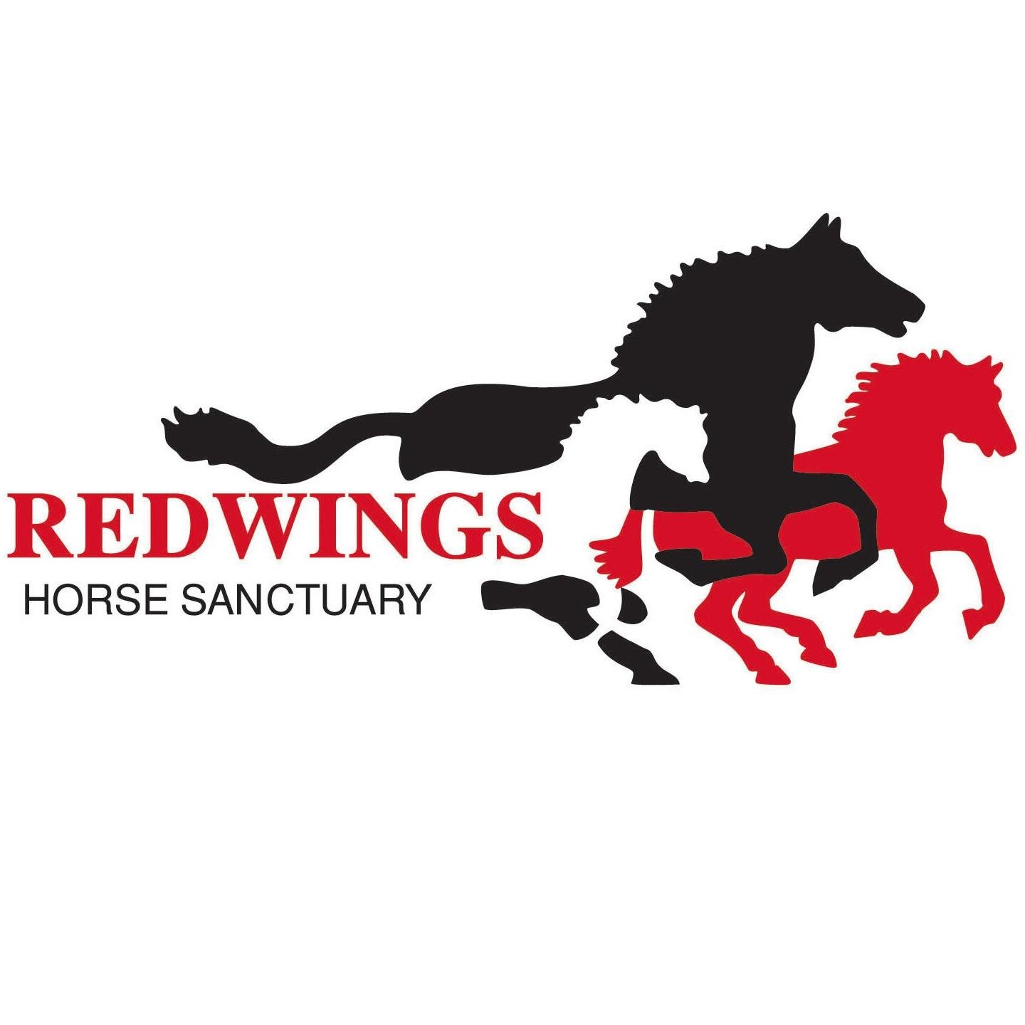 The UK's largest horse welfare charity, responsible for over 2,000 rescued horses, ponies, donkeys and mules. 100% publicly funded.