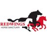 RedwingsHS's profile picture. The UK's largest horse welfare charity, responsible for over 2,000 rescued horses, ponies, donkeys and mules. 100% publicly funded.