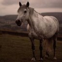 Ada  - @Ada_Tucker8 - Twitter