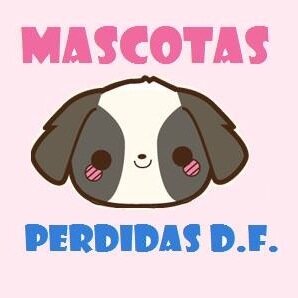 Damos difusión a las fotografías y letreros de mascotas extraviadas en el Distrito Federal. ¡Queremos finales felices!