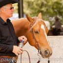 Paul Cheetham - @SkeetsNCheets - Twitter