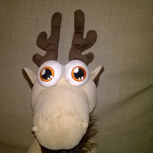 Springer74's profile picture. Moving forward.