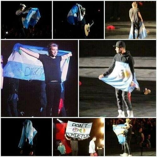 Directioner 4ever- Zayn Malik- Louis Tomlinson- Niall Horan- Harry Styles- Liam Payne