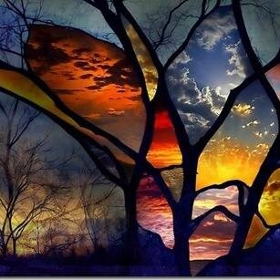 SilverReed's profile picture. 