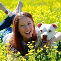 Paws-itive Counselor (@sassy_school) Twitter profile photo